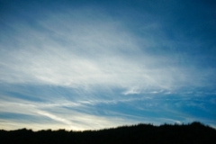 SONY DSC