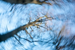 blauw-14a